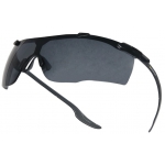 Очки защитные Delta Plus Kiska (Затемненные)